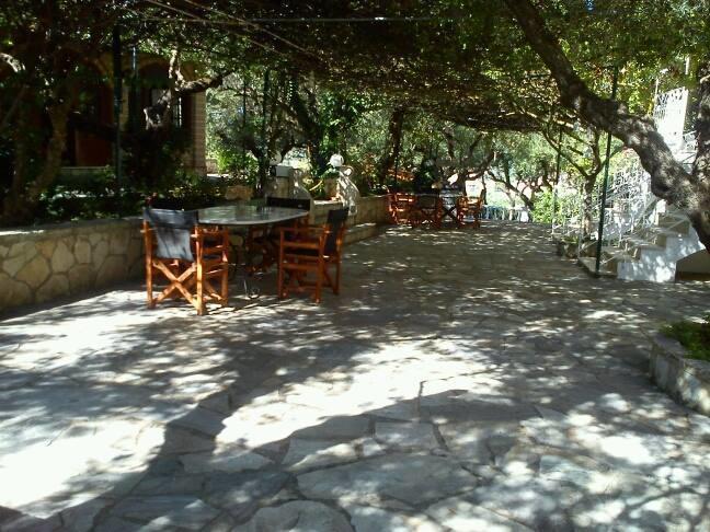 Sofos Apartments Tsilivi  Rum bild