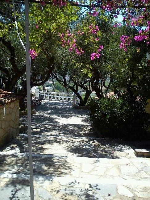 Sofos Apartments Tsilivi  Rum bild